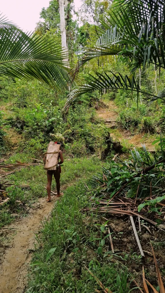Tribu des hommes fleurs Mentawai